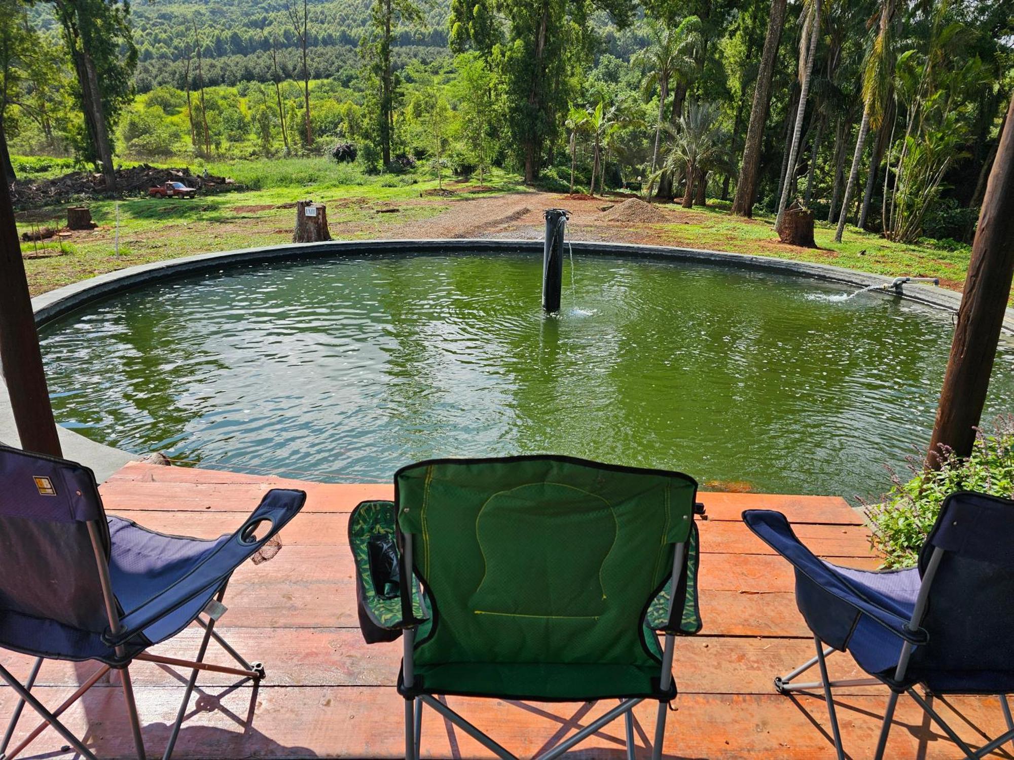Pecan Farm Guesthouse Louis Trichardt Esterno foto