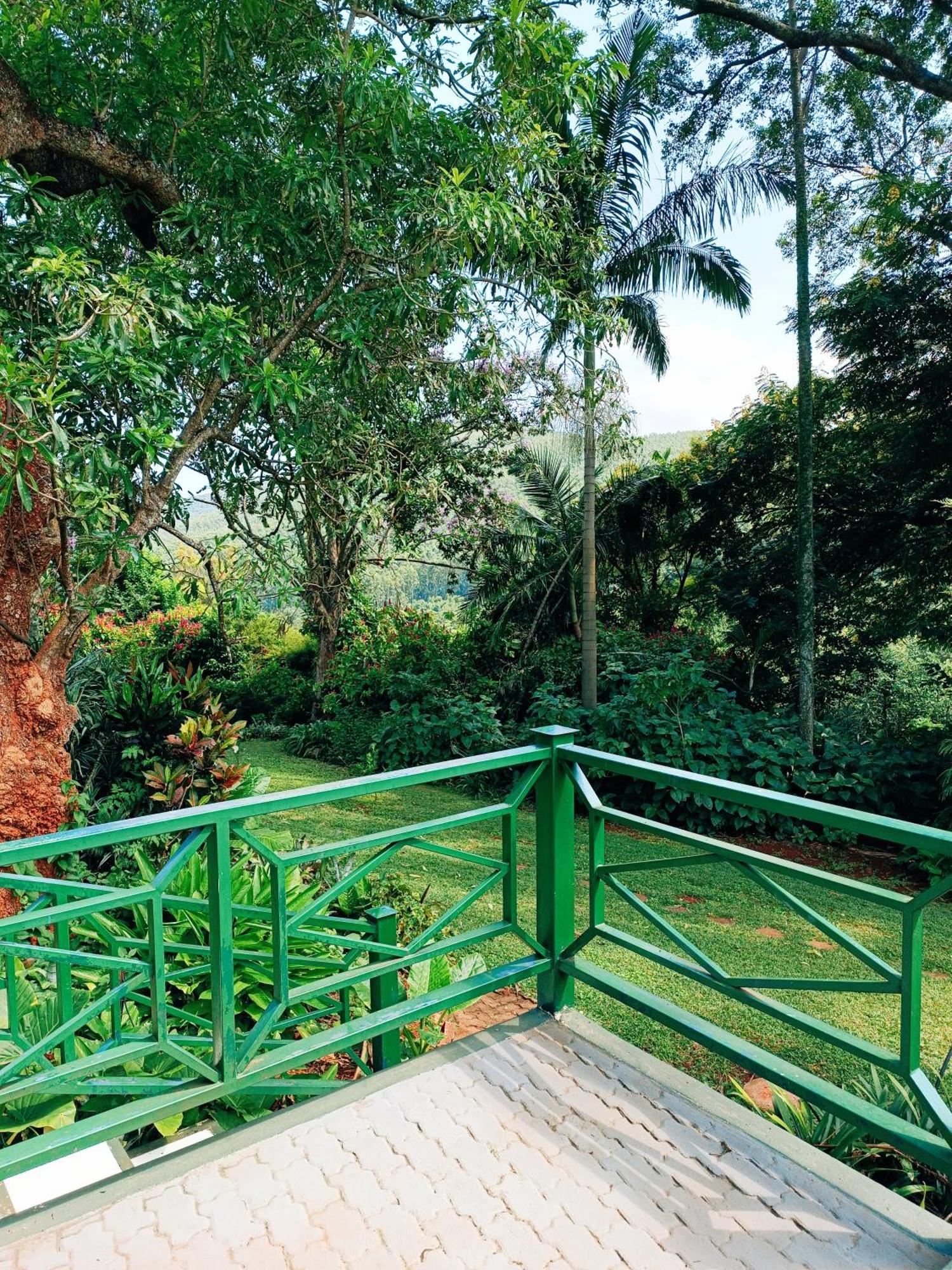 Pecan Farm Guesthouse Louis Trichardt Esterno foto